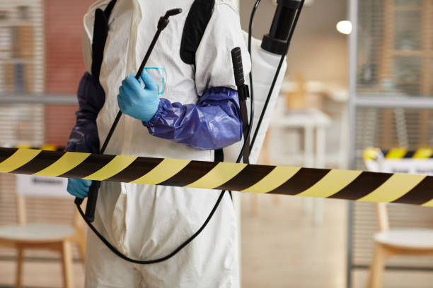 Professional Sewage Cleanup technician working in Oakland, MO